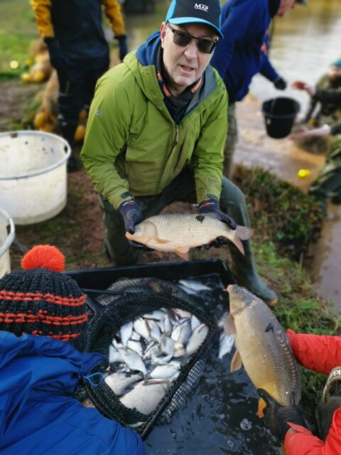 Woodstock 2026 Netting